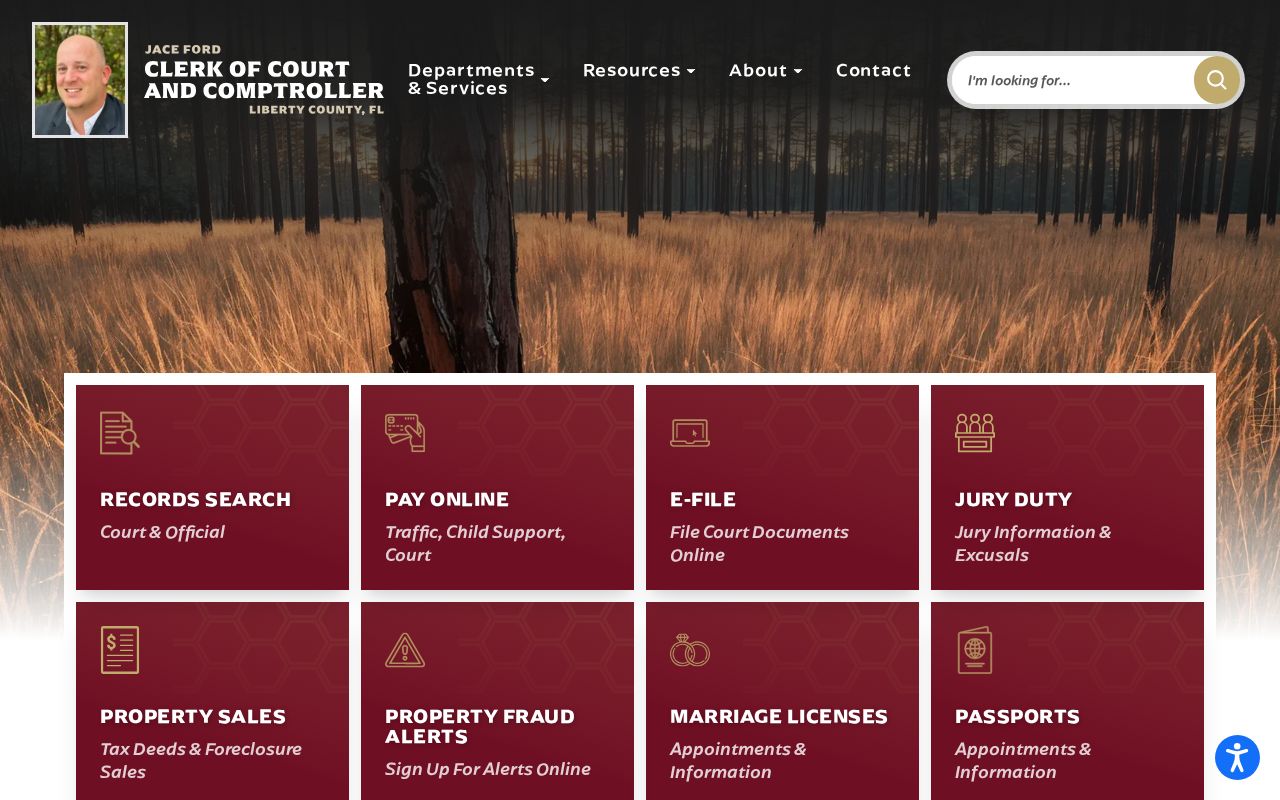 Liberty County Clerk official homepage for criminal court records