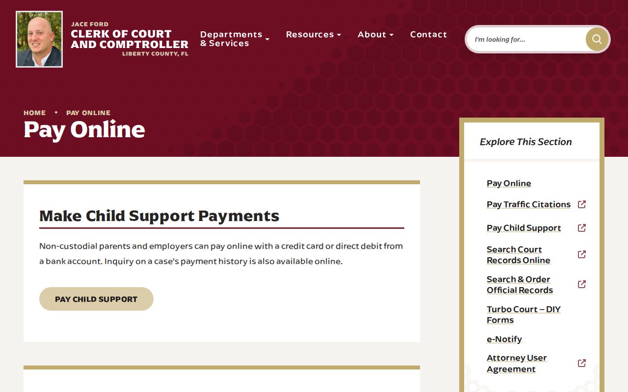 Liberty County criminal court case payment categories